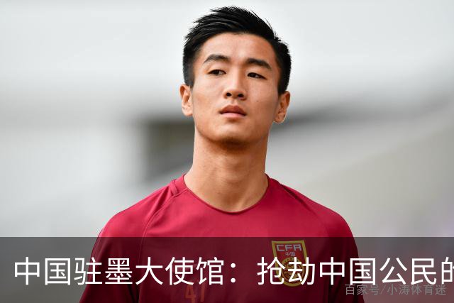中国驻墨大使馆：抢劫中国公民的两名嫌疑人中 一人已经落网